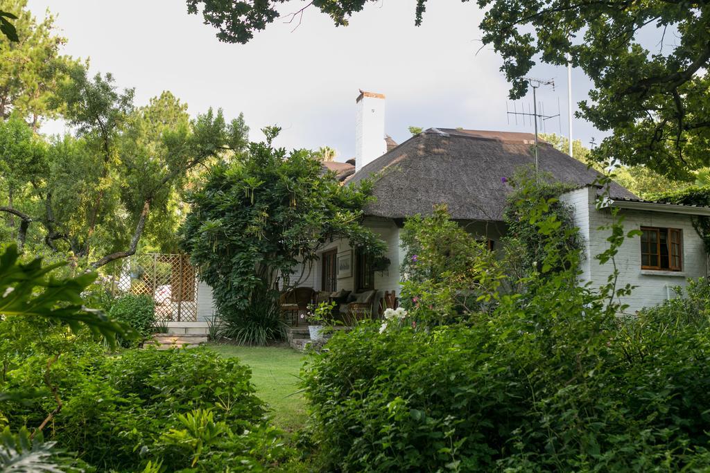 Grace Guest House โจฮันเนสเบิร์ก ภายนอก รูปภาพ